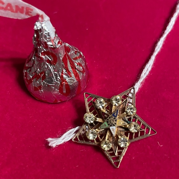 💙💛🤍💚❤️ VINTAGE ORDER OF THE EASTERN STAR PIN ❤️💚🤍💛💙 - Picture 1 of 3